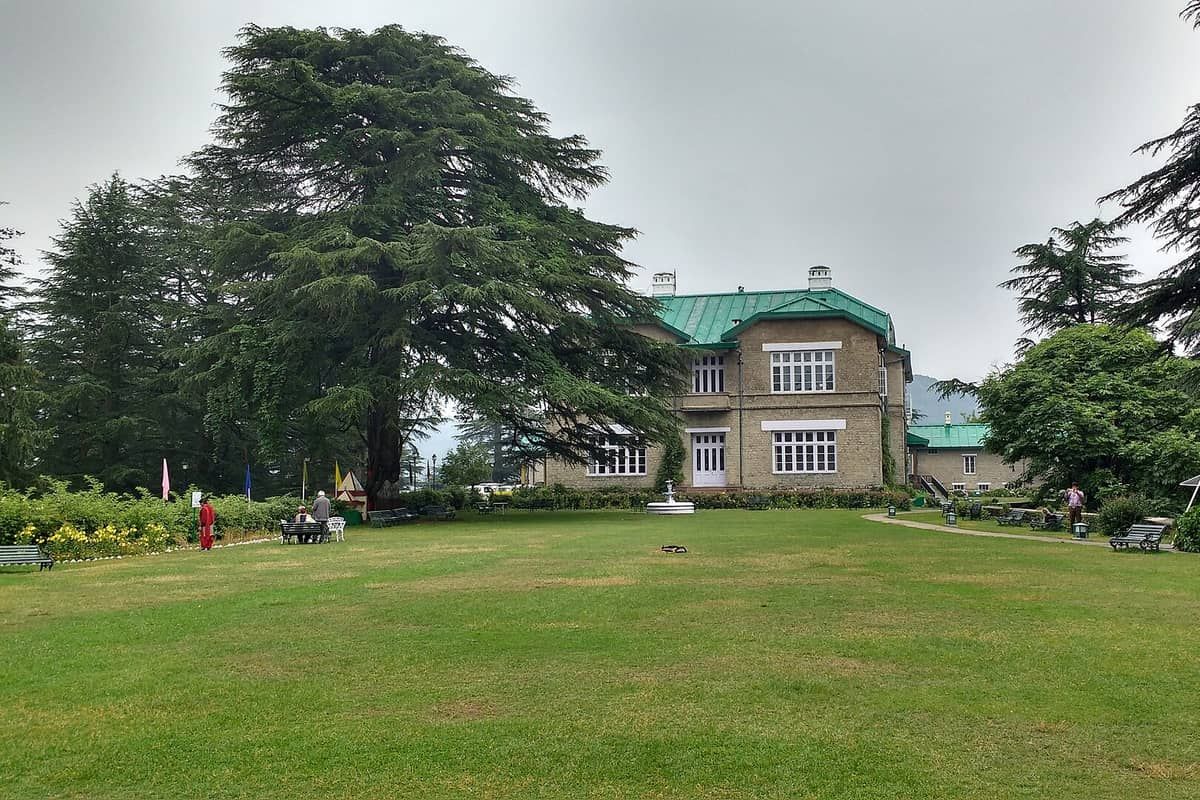 Shimla mountain travel experience